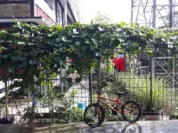 Cra Hotel Hotel dekat GBI House Of Glory Wonosobo