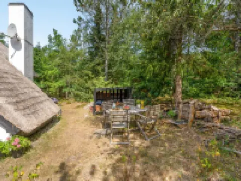 "Olaf" - 1.4km from the Sea