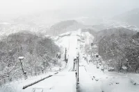 빌라 코시도 고토니