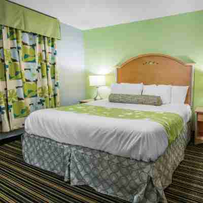 Rodeway Inn & Suites Winter Haven Chain of Lakes Rooms