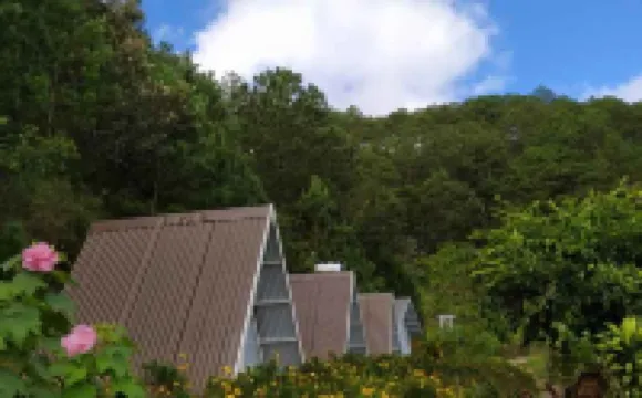 Tuyet Hoa Hon Bo Bungalow