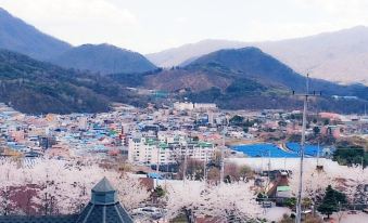 Hwacheon Land Pension (Dog Friendly, Dog Park)