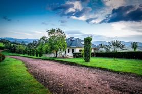 The Crested Crane Bwindi Hotel