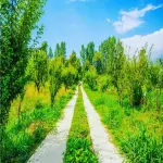 Hotel Maurya Residency Namchi Hotels in Namchi