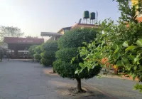 Rose Guest House
