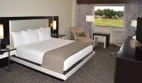 DoubleTree by Hilton Hotel Houston Hobby Airport - balcon