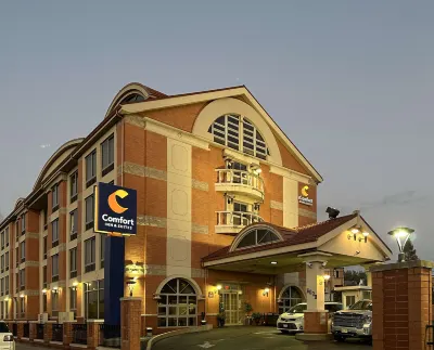 Comfort Inn & Suites LaGuardia Airport Hotels near Trader Joe's