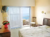 Hôtel Le Dauphin Hotels in Menton