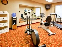 Holiday Inn Express & Suites DICKSON by IHG - Kuntosalit