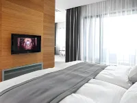 웰니스 호텔 아바치 코프리브니체 호텔