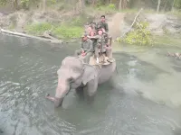 Racyshade Resort- Bardia National Park