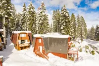 Chickadee by AvantStay Modern A-Frame Cabin