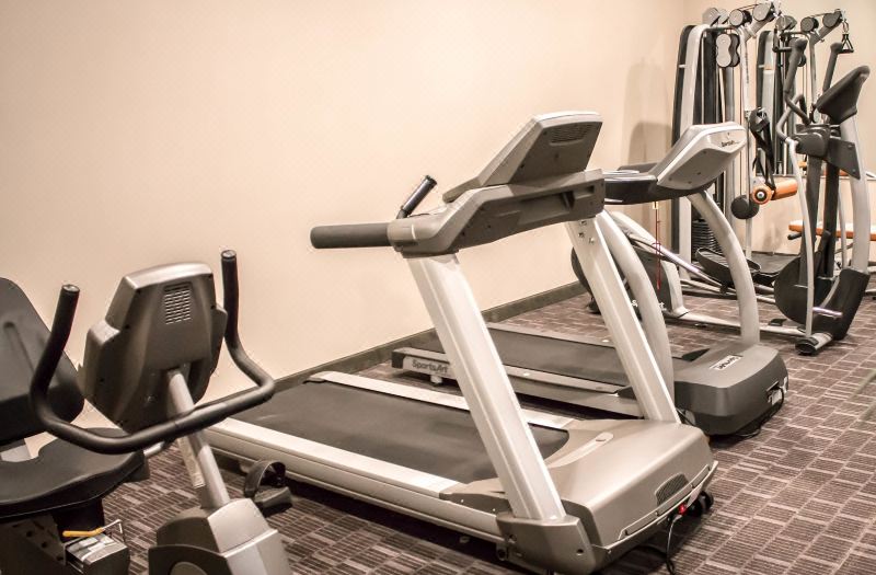 Holiday Inn Express & Suites Albany Airport - Wolf Road by IHG photo 5