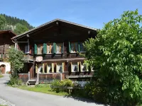 Mittaghorn Hotels in 