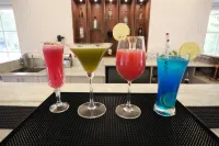 Astroport Sariska Treetop by Eight Continents - bar