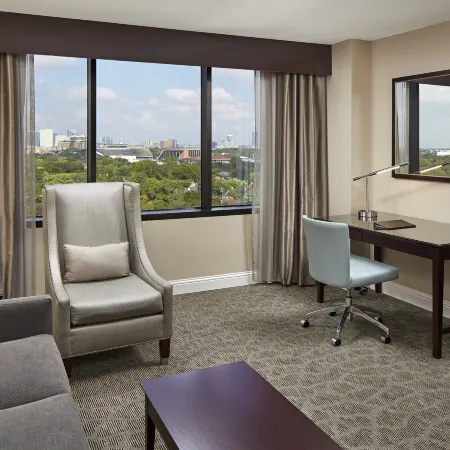 Hilton Houston Plaza/Medical Center Отели рядом с достопримечательностью «Менил Коллекшен»