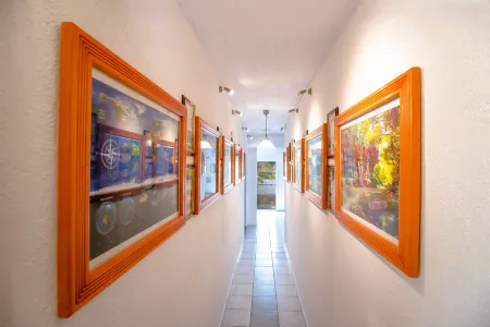 Comfort Double or Twin Room (Semi-Basement)