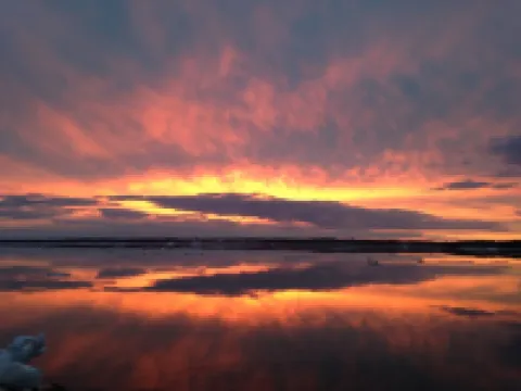 Immaculate Hummingbird Suite - One Mile from Acadia National Park