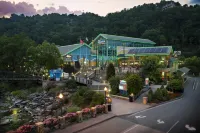 Promo 10% Weekly Discount!July Special, Hot Tub, Pool Table, Arcades Wifi-Pets. Hotels in der Nähe von Gatlinburg Dog Park