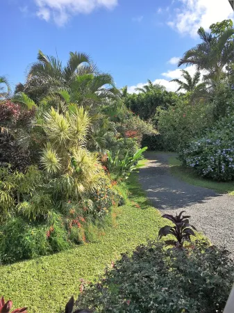 Hookipa Bayview Cottage Private, Romantic Maui Cottage, in Haiku