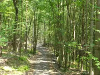 Spruce Run Hideaway, Log Cabin Alone On 245 Acres Of Forest, Lewisburg Pa