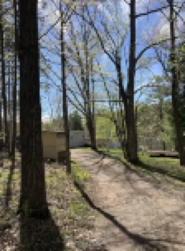 Quaint lakefront cabin