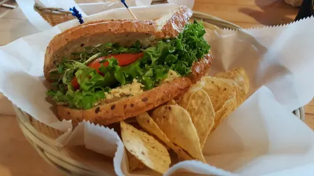 ✧Classic Cabin- NO CLEANING FEE