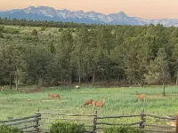 Charming Mountain Chalet with Stunning Views Hotels in Ouray County