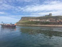 The County Boutique Apartment