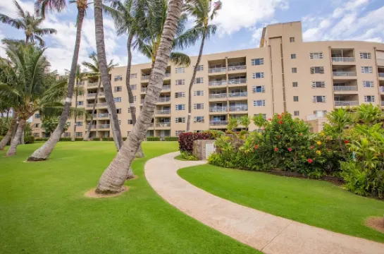 The Maui Moon Oceanfront Condo- Perfect for couples!
