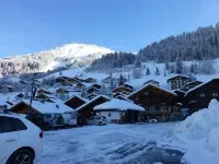 Very well appointed Apartment in Chatel , very convenient for shops ,restaurants Hotels in Chatel