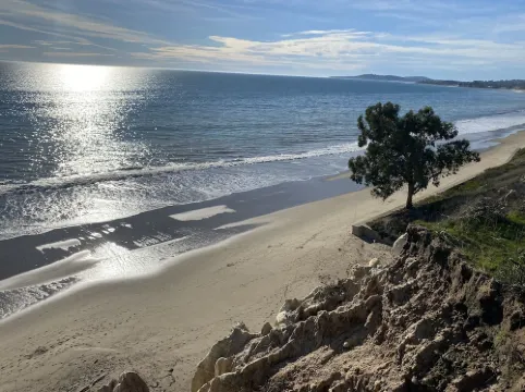 Classic California Central Coast Cabin overlooking the ocean on 20 wooded acres