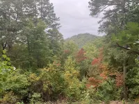 Secluded home in the mountains and 5 minutes from downtown.  Pet friendly!