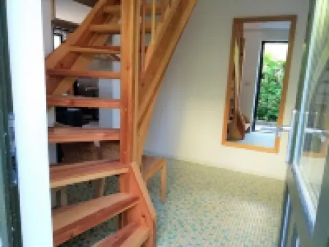 Baltic Sea wind at the edge of the forest