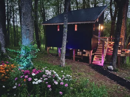 Trolley and The Treehouse #hiking #love #friendcation