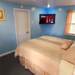 Cozy apartment near all