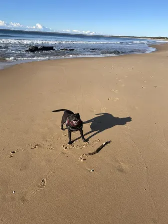 Charming Pet friendly Beach Cottage - 100m to beach and lake