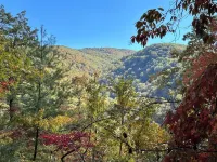 Mountain Tranquility, 1 Bedroom cabin secluded in the mountains of E Tennessee