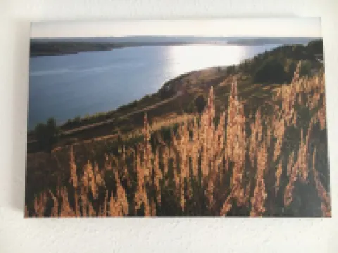 "pauline" Apartments Nr.1 2020 Hochwertig Eingerichtetes Apartment