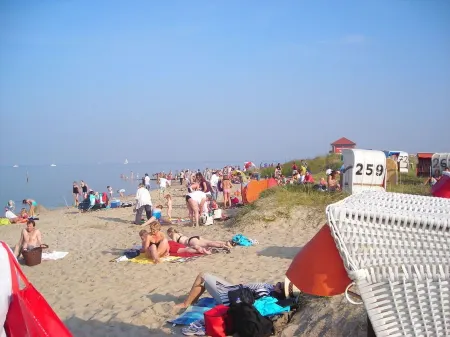 Bright, spacious comfort apartment with private garden and walk-in shower.