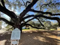 SOUTHERN CHARM (Kid’s Bunk Room