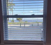 Dolphin View House #2