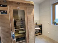 FeWo Grafenau with infrared cabin and mountain view