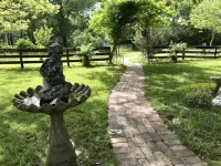 Bed and Breakfast in a quiet country setting