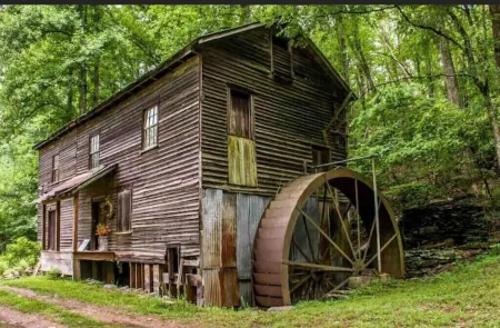 Falls View Cabin at Dennis Mill on designated trout stream.