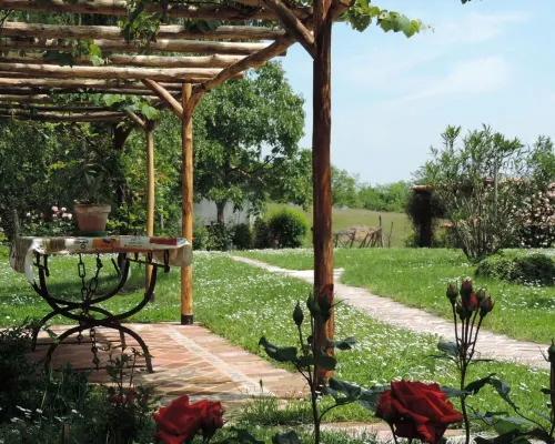 Isolated on hill, flat with terrace,garden among romanesque art,quiet,nature Hotele w: Cocconato