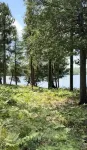 Eagle Nest Cabin