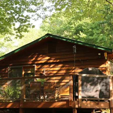 Mountain Getaway For Couples! 17 miles to Asheville, Pet Friendly, Hot Tub