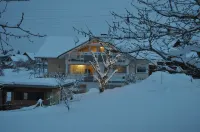 Cozy apartment "Bückli" in the Ortlieb house