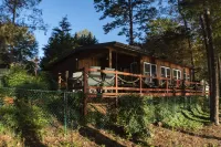 Contentment Cabin on Lake Hartwell